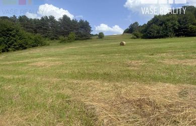 Veľký rekreačný pozemok s chatkou, Streženice (Púchov), 2400 m2