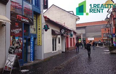 ASSENZIO | PRENÁJOM | priestranný 2i byt na Nivách (pet friendly)